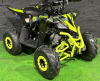 Motoland Raptor 110, 2026 г.