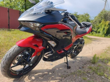 Kawasaki EX Ninja 500, 2024 г.