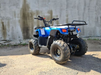 Motoland Rider 110, 2024 г.