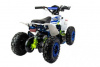 Motoland ATV E008 E010 1000Вт, 2026 г.