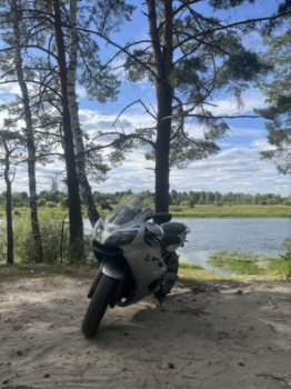 Kawasaki ZXR, 2005 г.