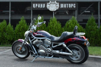 Harley-Davidson V-Rod 100th Anniversary, 2003 г.