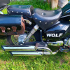 Motoland Wolf XL250-A, 2023 г.