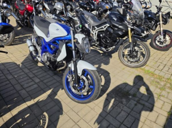 Suzuki SFV, 2010 г.