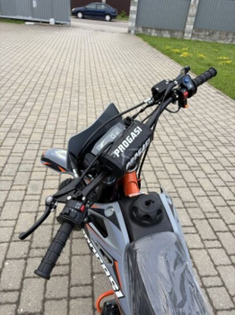 Progasi PALMA 300 PRO, 2025 г.