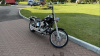 Harley-Davidson Softail Custom, 2007 г.