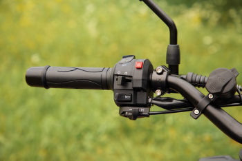 Классик AVM CHAMP 125, 2026 г.
