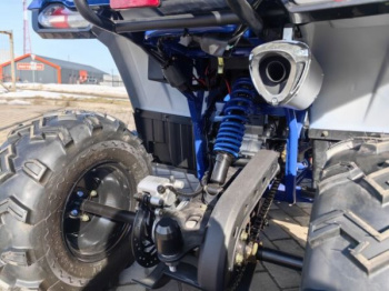 Motoland Wild Track 200 X WINCH, 2025 г.