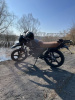 Racer Tiger, 2025 г.