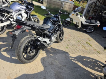 Suzuki SFV, 2012 г.