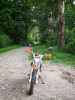ROCKOT RS250 Firestorm, 2025 г.