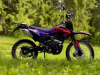 Racer ZWC2-300B, 2026 г.