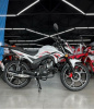 ROCKOT ALPHA DYNAMIC, 2025 г.