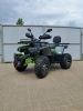 Утилитарный Motoland Wild Track X PRO, 2026 г.