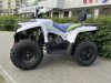 Motoland Shark ATV 200, 2025 г.