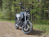 Racer Caiman, 2026 г.