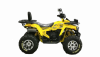 Motoland Wild Track X PRO, 2025 г.
