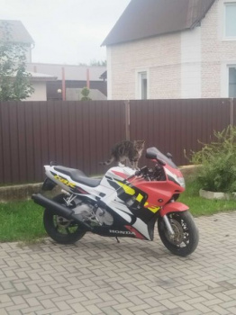 Honda CBR 600 F3, 1997 г.
