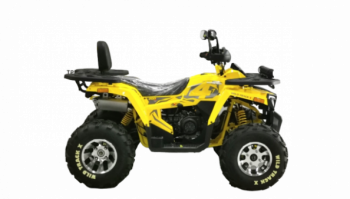 Motoland Wild Track X PRO, 2025 г.