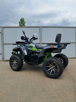 Утилитарный Motoland Wild Track X PRO, 2026 г.