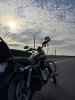Harley-Davidson Sportster XL883Custom, 2005 г.
