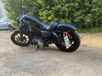 Harley-Davidson Sportster 883, 2019 г.