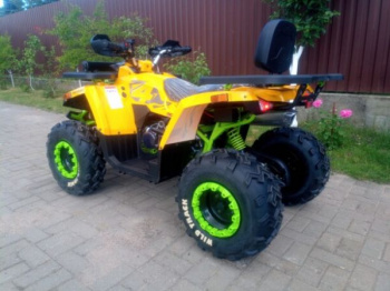 Motoland Wild Track X "WINCH" 200, 2026 г.