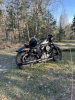 Harley-Davidson Sportster, 2019 г.