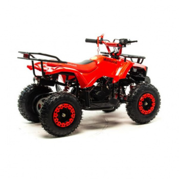 Motoland Scorpion 50, 2023 г.