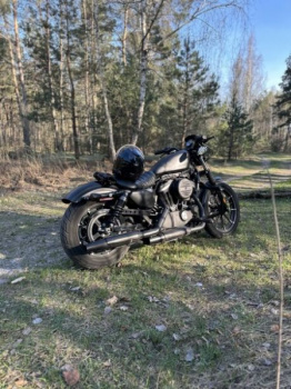 Harley-Davidson Sportster, 2019 г.