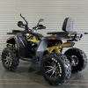 Motoland Wild Track X PRO, 2025 г.