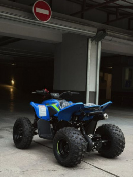 CFMOTO CForce 110 EFI, 2026 г.