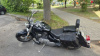 Suzuki VL800, 2001 г.