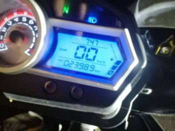 Racer Ranger, 2024 г.
