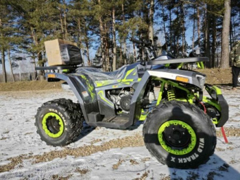Motoland Wild Track 200 X WINCH, 2025 г.