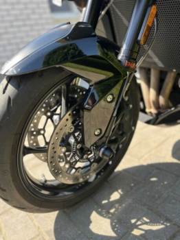 Triumph Tiger, 2025 г.