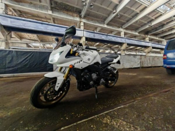 Yamaha FZ Fz1, 2007 г.