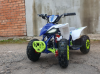 Motoland SD ATV E010 1000W, 2025 г.