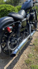 Harley-Davidson Sportster, 2022 г.