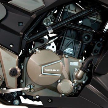 Regulmoto Alien Monster 300, 2026 г.