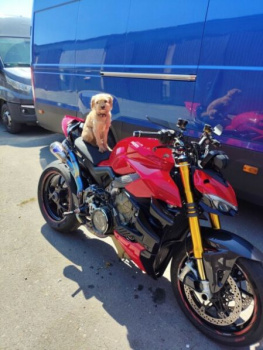 Ducati Streetfighter V4s, 2021 г.