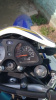 Racer Panther RC250 GY-C2, 2023 г.