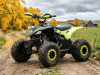 Motoland Raptor 125, 2026 г.