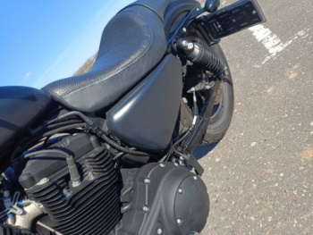 Harley-Davidson Sportster, 2021 г.
