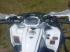 Cobra ECX 200сс, 2023 г.