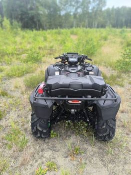 Yamaha Grizzly EPS SE, 2019 г.