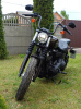 Круизер/чоппер Harley-Davidson Softail Street Bob, 2020 г.