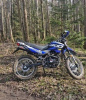 Racer Panther RC300-GY8X, 2024 г.