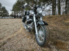 Motoland Wolf 300, 2026 г.