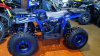 Motax ATV Grizlik D125, 2025 г.